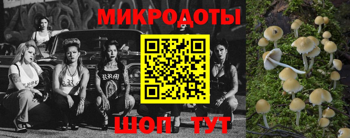 Галлюциногенные грибы Magic Shrooms Малоярославец